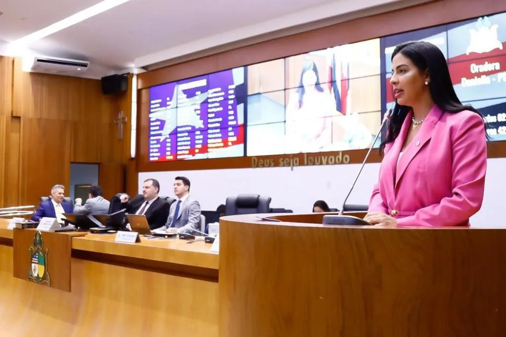 Deputada Daniella propõe discursão sobre redução de taxas sobre veículos apreendidos no Maranhão