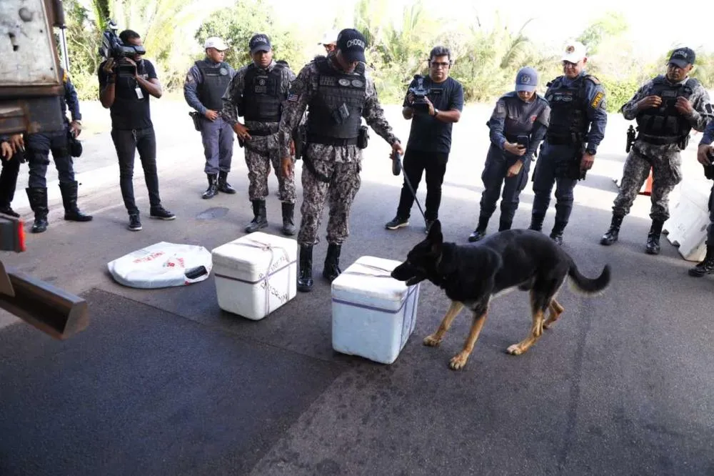 Operação Proclamação da República da Polícia Militar é deflagrada para reforçar segurança durante feriado prolongado no Maranhão