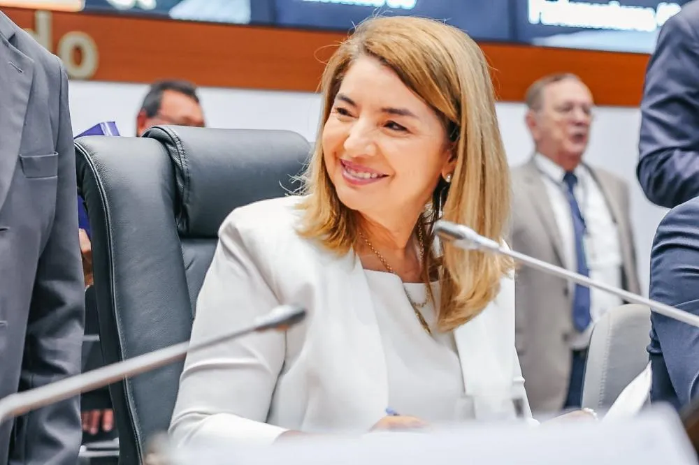 Assembleia se pronuncia sobre decisão do ministro Flávio Dino em ação no STF